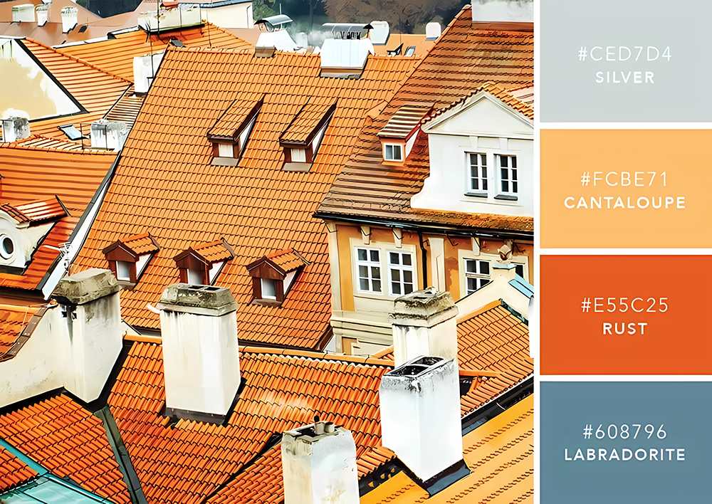 微信图片_20251121113641_119_86